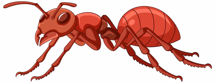 ant