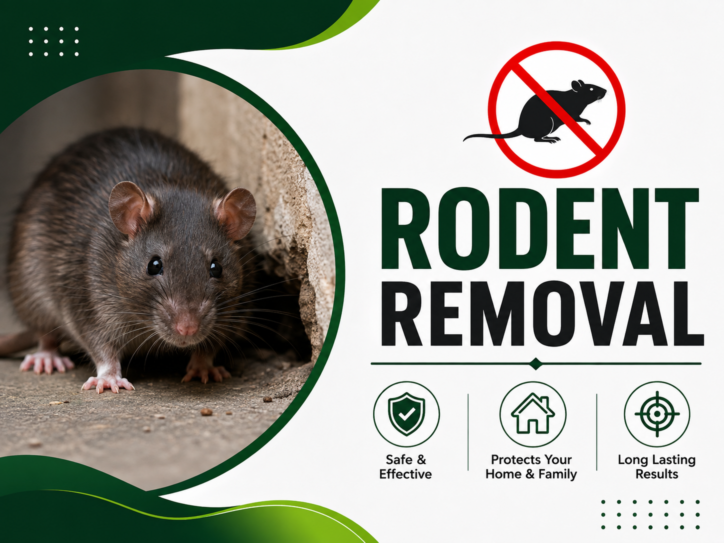 Rodent Removal