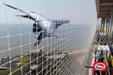 Bird Control & Bird Net