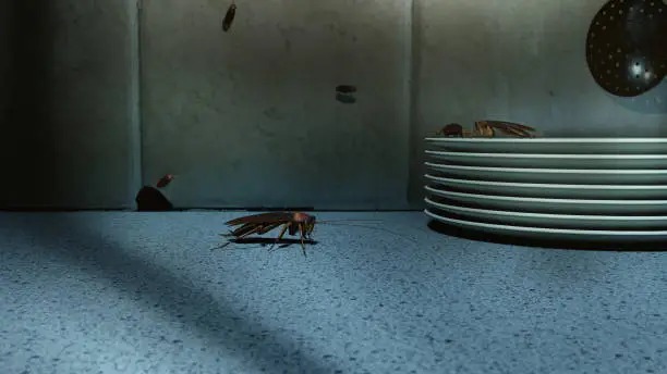 cockroach control service by Pestwale, gel baiting cockroach treatment, kitchen pest control service, cockroach infestation in kitchen, tilchatta treatment process, pest control technician, cockroach inspection service, pest control Mumbai, cockroach control Ahmedabad - 4
