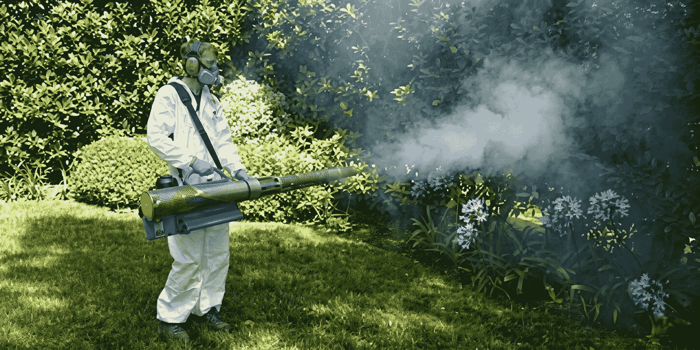 mosquito control service by Pestwale, fogging mosquito treatment, larval control process, mosquito breeding water areas, pest control technician spraying, mosquito control Mumbai, mosquito control Ahmedabad, anti mosquito treatment service, mosquito infestation inspection, pest control India mosquito service - 5